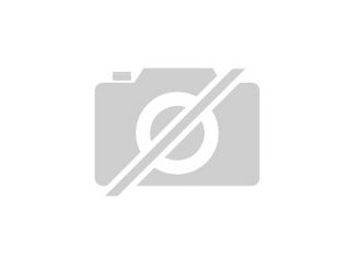 Specksteinartikel für FlohmarkthändlerSpeckst